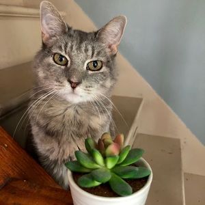 Meet your Posher, Molly